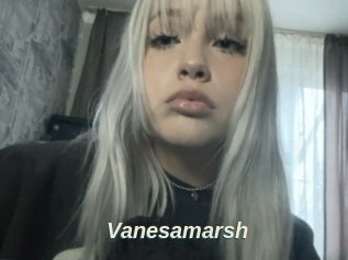 Vanesamarsh