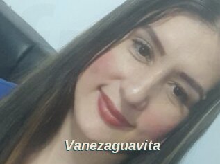 Vanezaguavita