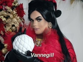 Vannegill