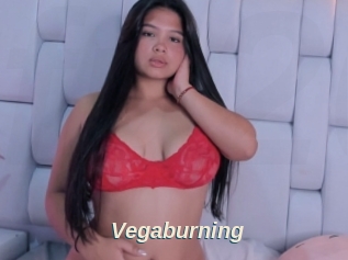 Vegaburning