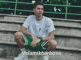 Velamikbarbosa