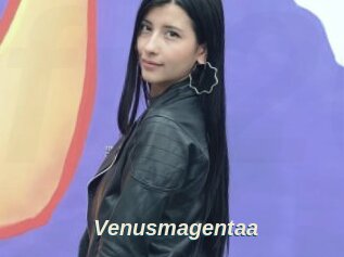 Venusmagentaa