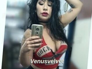 Venusvelvet