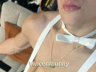 Vincentbunny