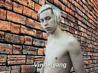Vinnieyang