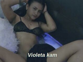 Violeta_kam