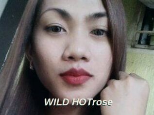 WILD_HOTrose