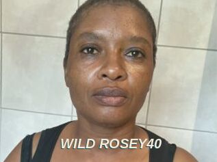 WILD_ROSEY40