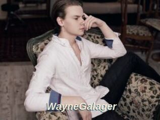 WayneGalager