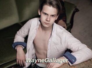 WayneGallager