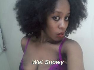Wet_Snowy
