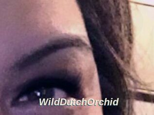 WildDutchOrchid