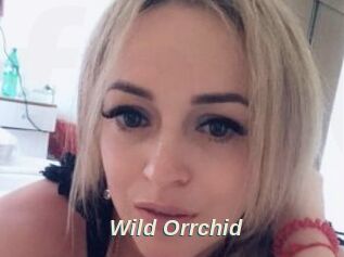 Wild_Orrchid