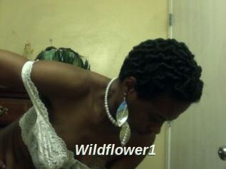 Wildflower1