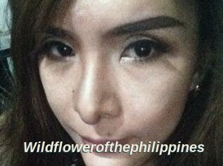 Wildflowerofthephilippines