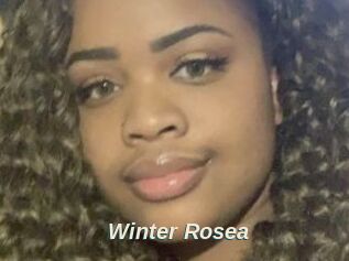 Winter_Rosea