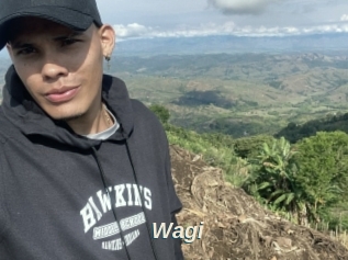 Wagi