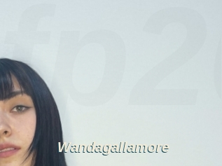 Wandagallamore