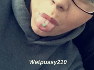 Wetpussy210
