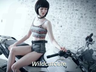 Wildcatcute