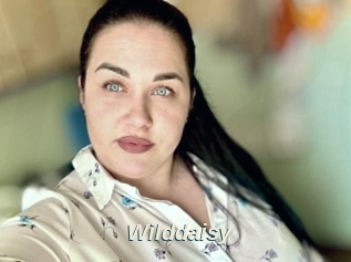 Wilddaisy