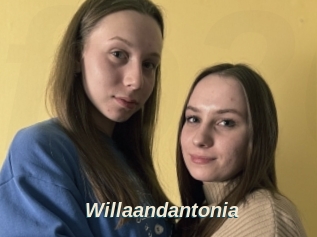 Willaandantonia