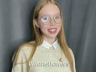 Wiloneflowers
