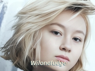 Wilonefudge