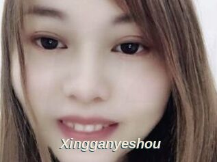 Xingganyeshou