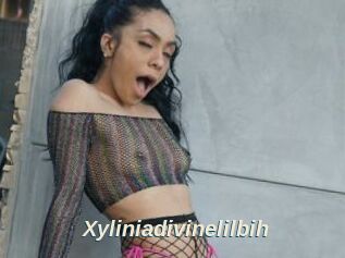 Xyliniadivinelilbih