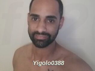 Yigolo0388