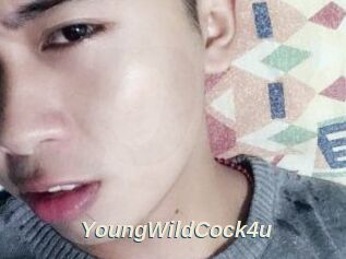 YoungWildCock4u