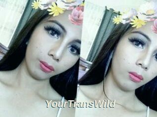 YourTransWild