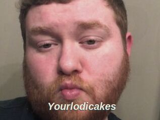 Yourlodicakes