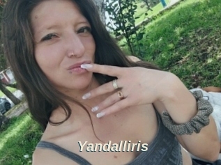 Yandalliris