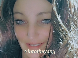 Yintotheyang