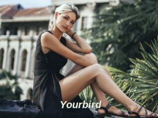 Yourbird