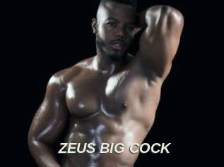 ZEUS_BIG_COCK