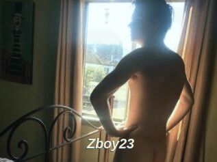 Zboy23