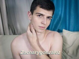 Zacharygonzalez