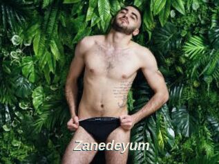 Zanedeyum